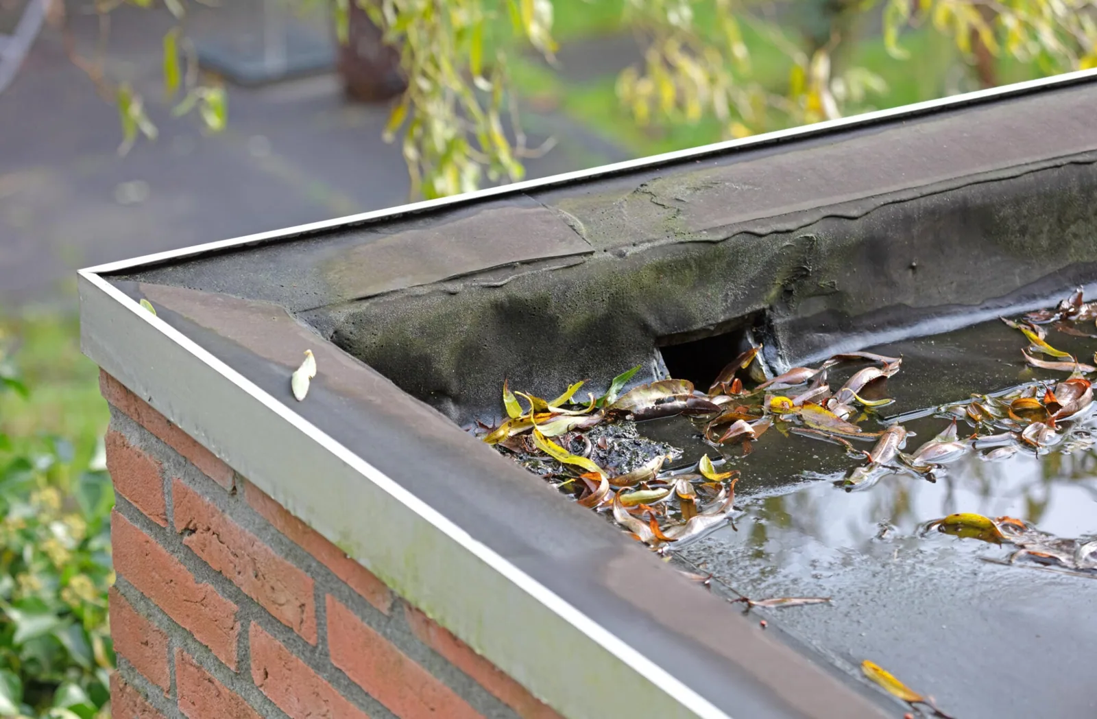Commercial Roof Drain and Scupper Service in Joliet, IL